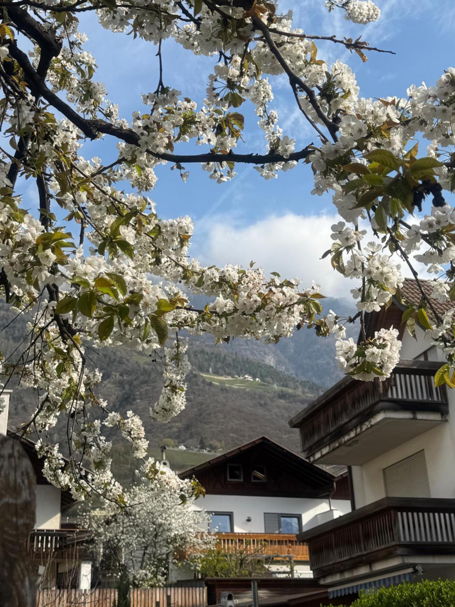 Ferienwohnung Im Zentrum Naturns Εξωτερικό φωτογραφία